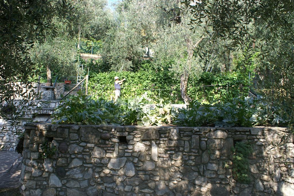 Hotel Riviera Panoramic Green Resort Limone sul Garda Ngoại thất bức ảnh
